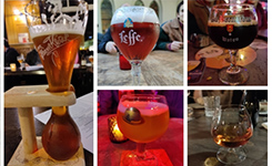 Collage of Belgian Beers sampled by the ESRs